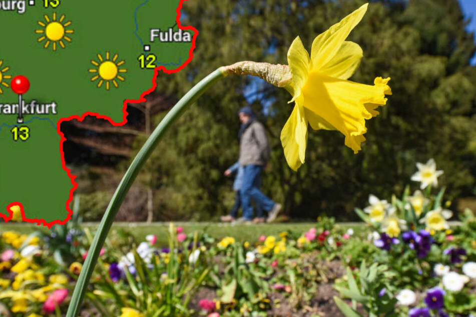 Am Wochenende bringt uns die Sonne bis zu 25 Grad.