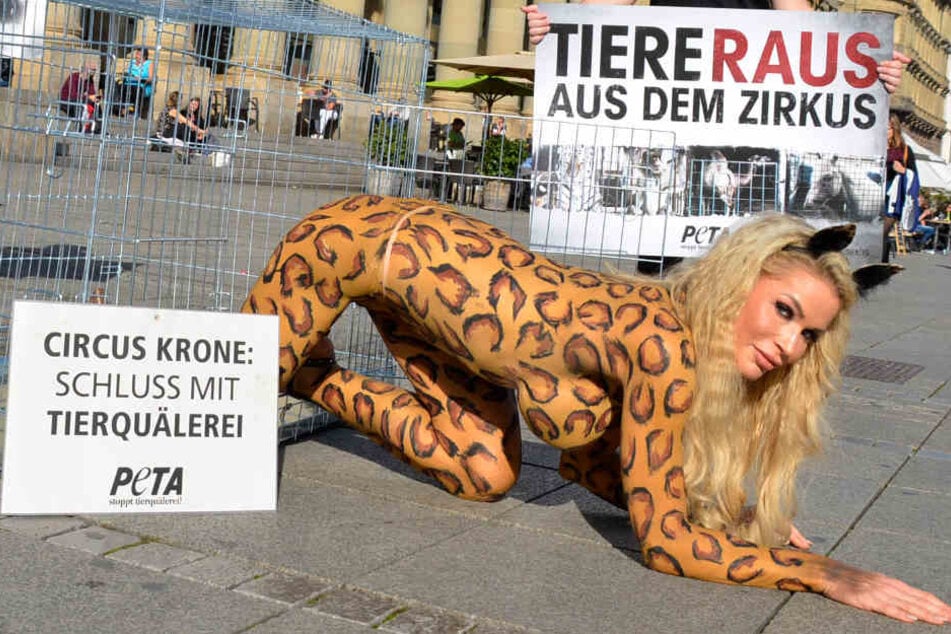 Mehr nackt als im Kostüm machte Playmate Ramona Bernhard auf die fragwürdigen Tierhaltebedingungen beim Zirkus Krone aufmerksam.