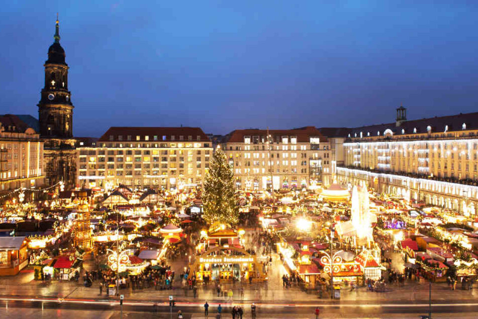 "Der Markt hat von Beginn an gebrummt", sagte Amtsleiter Robert Franke.