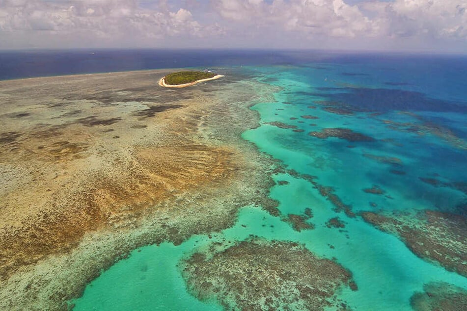 Dem Great Barrier Reef vor Australien geht es nicht gut. Die Unesco will das Gebiet nun für gefährdet erklären.