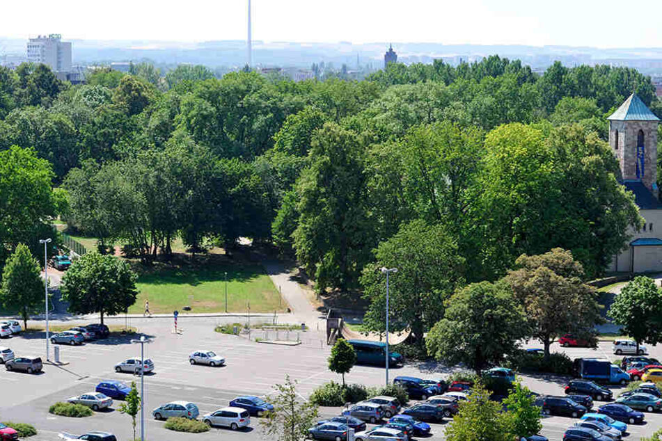 Ein 29-Jähriger wurde im Park der OdF verletzt. (Archivbild)