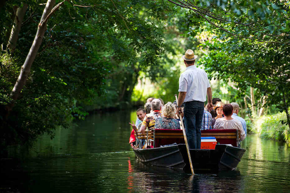 Eine Kahnfahrt durch den Spreewald ist schön. Das haben auch die Niederländer erkannt, die mit 126.000 Besuchern - nach den Polen - die Mark bereisen.