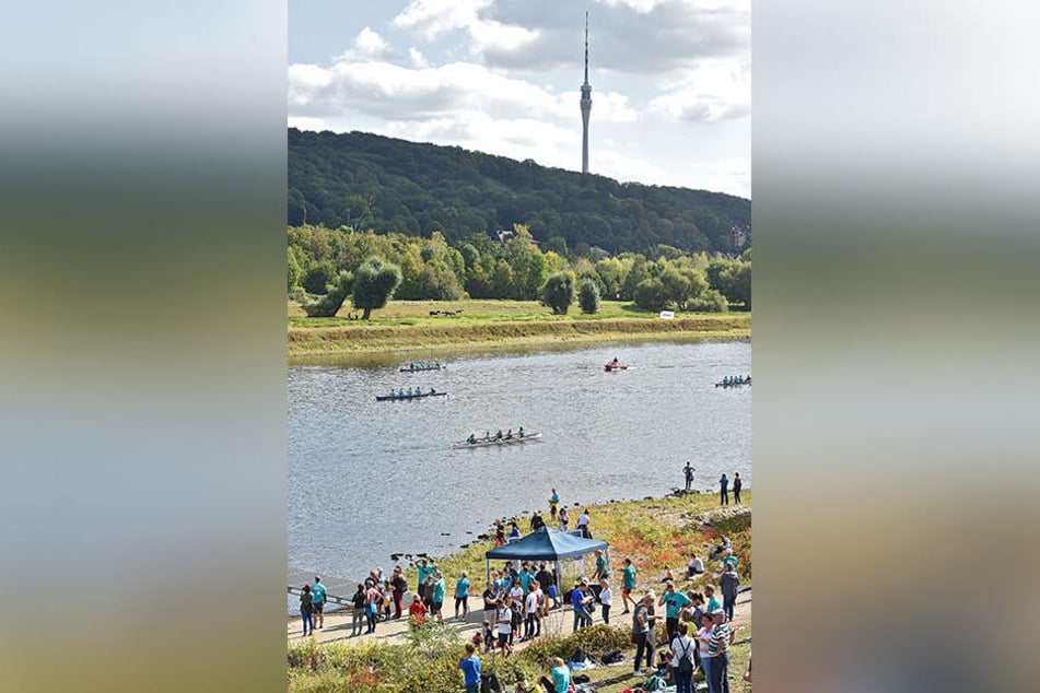 Bei der Ruder-Regatta auf der Elbe siegte am Ende der gute Zweck.