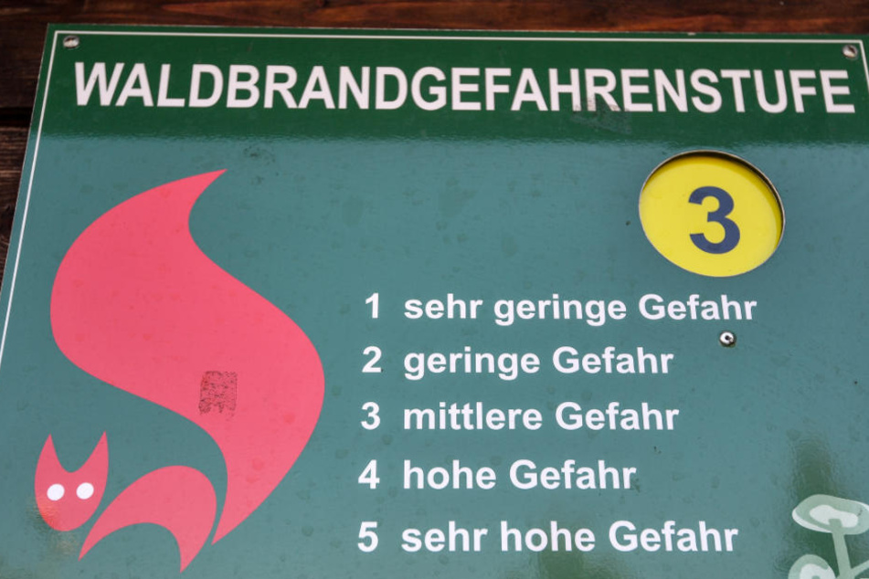 Im Wald kann sich zur Zeit schnell ein Feuer entzünden. (Symbolbild)