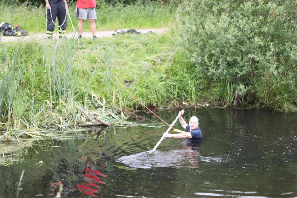 Ein Feuerwehrmann sucht das Gewässer ab.