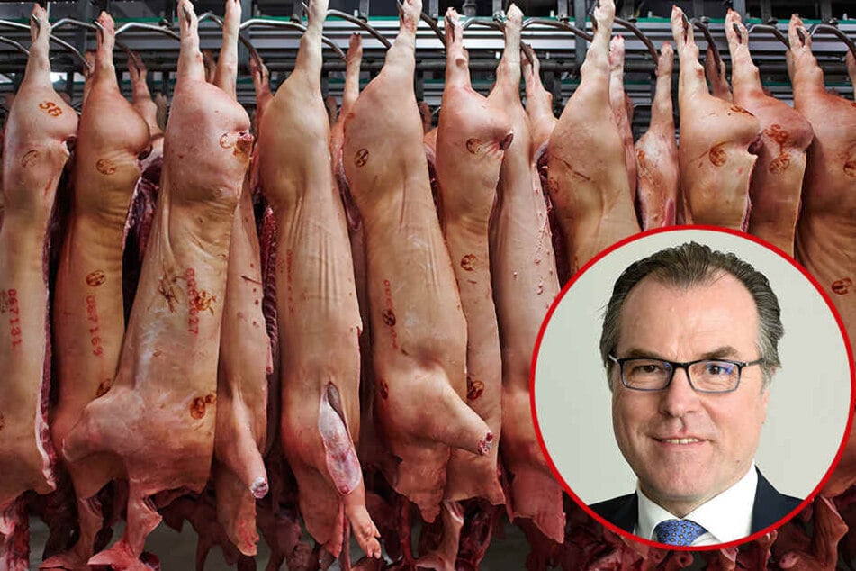 Clemens Tönnies (60) verdient mit Schlachten
sein täglich Brot.
