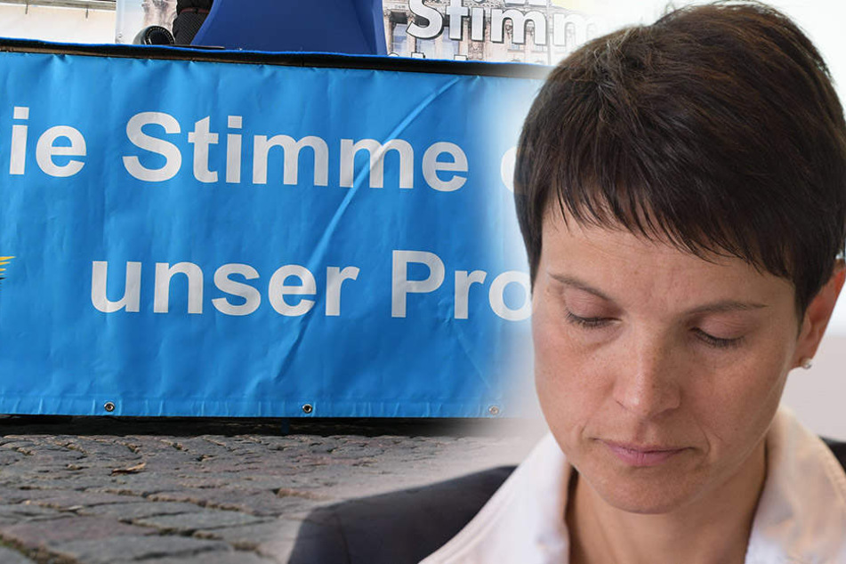 Für die AfD-Chefin Frauke Petry (42) könnte es kurz vor der Bundestagswahl doch noch eng werden.