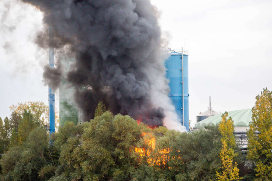 Gefährliche Chemikalien gerieten wohl in Brand.