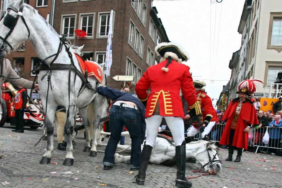 Beim Rosenmontagszug 2017 in Düsseldorf kippte ein geschwächtes Pferd um. (Archivbild)