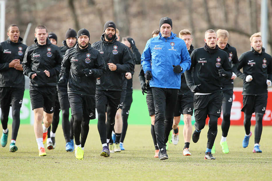 Ja, wo laufen sie denn? Die „Veilchen“ wollen heute zurück in die Spur finden