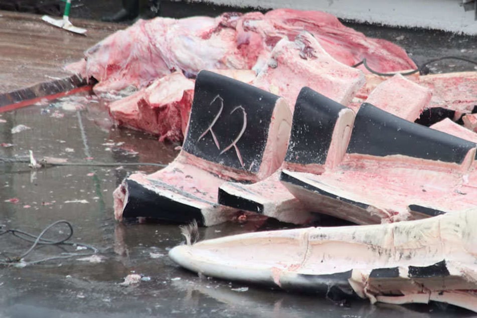 An Bord wurde der Wal zerlegt. Sein Fleisch soll nach Japan exportiert werden.