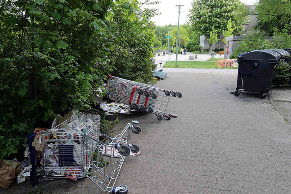 Neben Teppichen und vor sich hin gammelnden Matratzen liegen hier auch etliche Einkaufswagen.