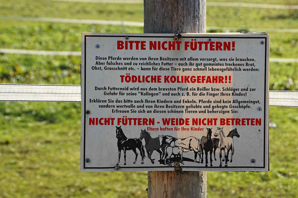 Unbekannte haben dem Pferd offenbar giftige Substanzen verabreicht.