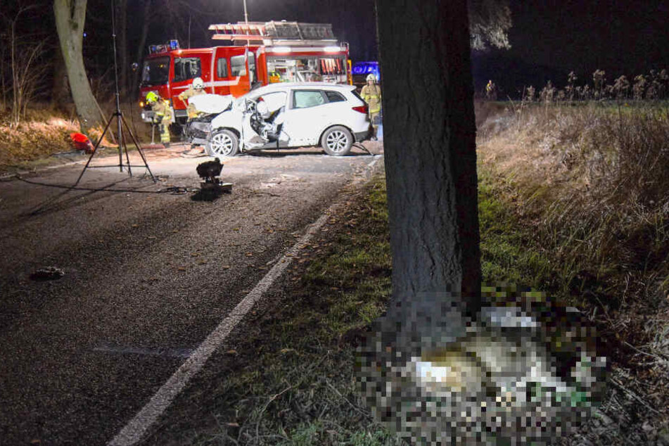 Das Reh überlebte den Aufprall nicht und verstarb noch am Unfallort.