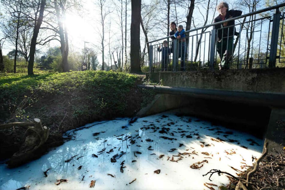 So weiß erstrahlte das Wasser rund um die SchücoArena.
