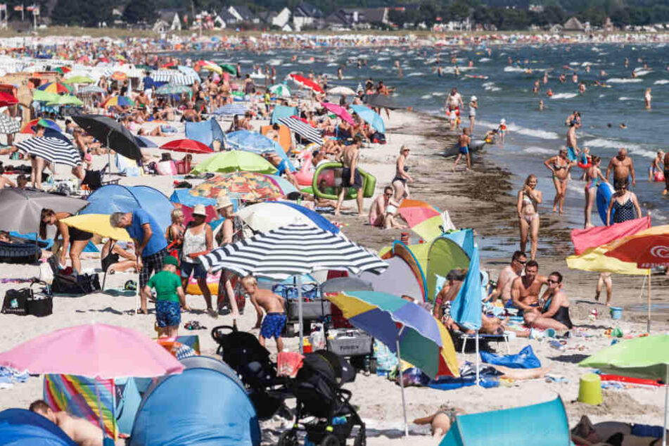Der Strand von Scharbeutz ist im Sommer voll mit Badegästen.
