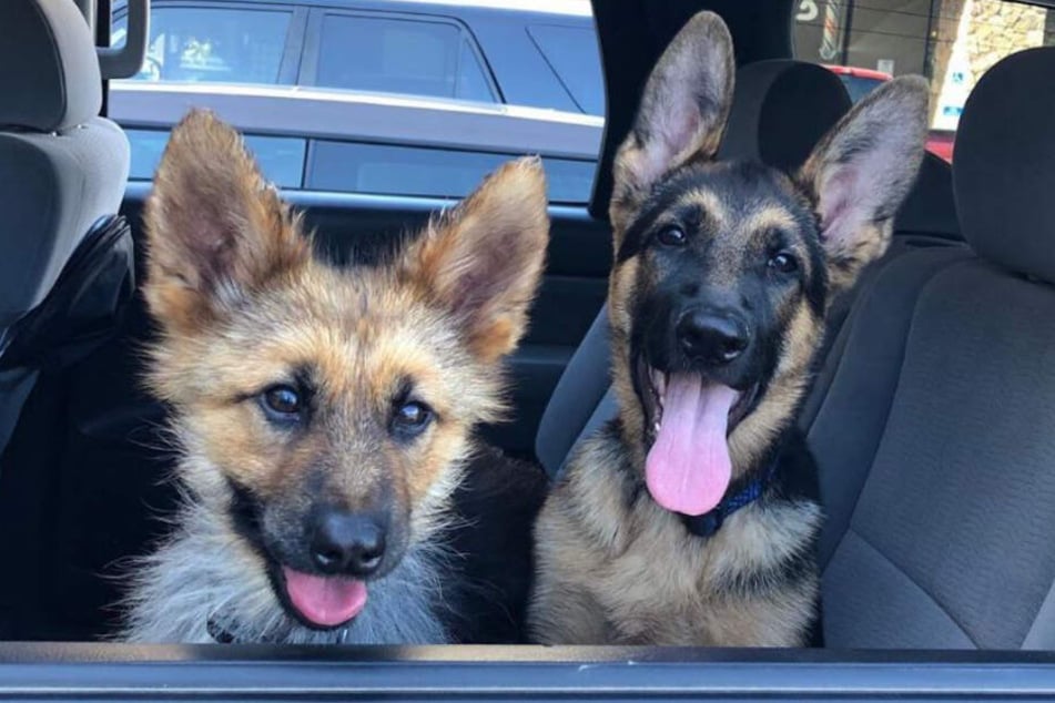 Ranger mit seiner Schwester - beide sind im gleichen Alter.