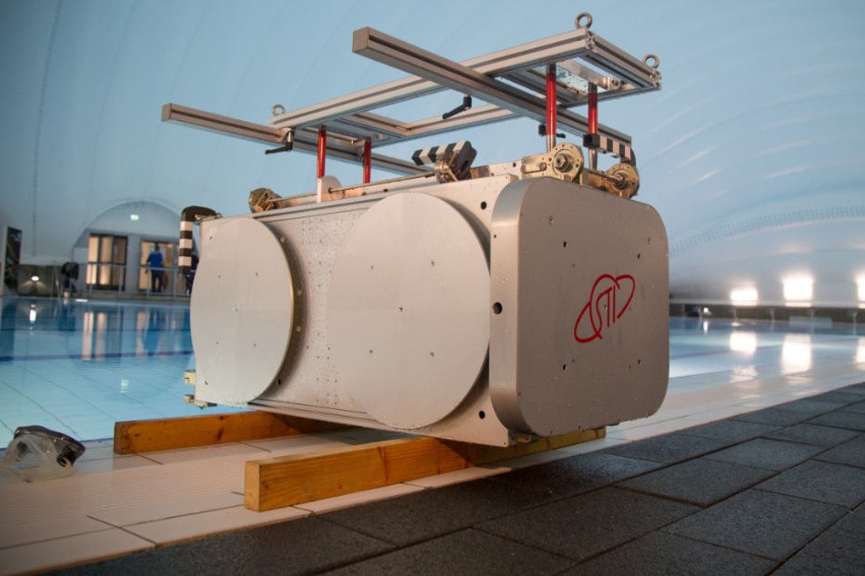 Das Antennensystem "Icarus" soll künftig Wanderbewegungen von Tieren erforschen.