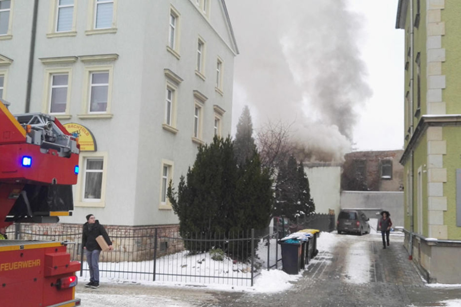 Am Freitagmittag brach in Cotta ein Feuer aus.