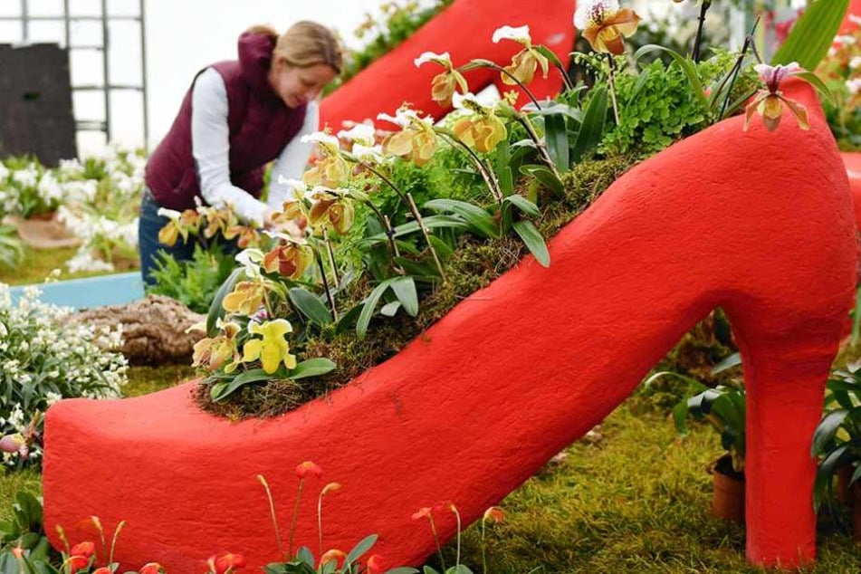 Ein mit Blumen bepflanzter Pumps auf der