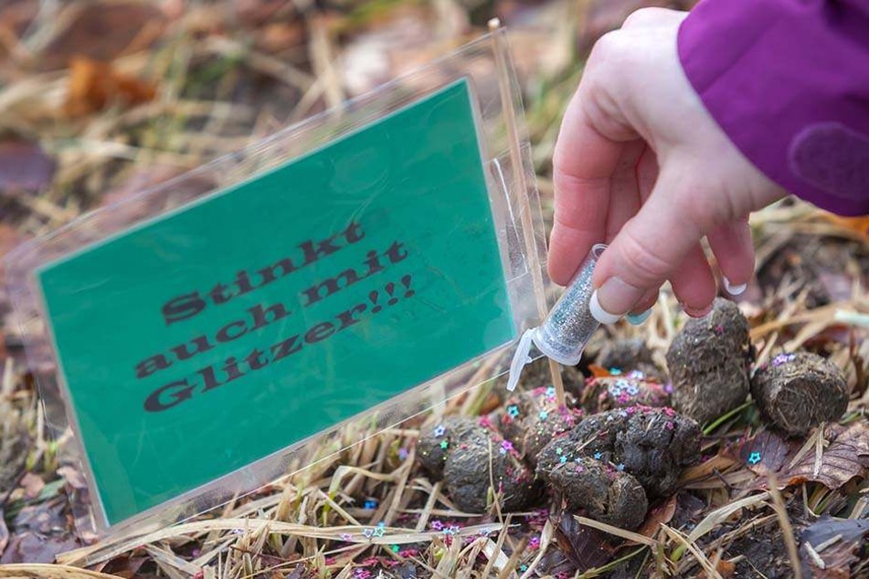 Mit Glitzer und lustigen Sprüchen soll erreicht werden, dass jeder die Haufen seines Hundes entsorgt.