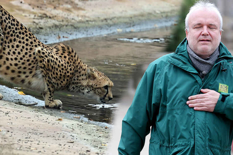 Junhold will "die Liebe der Besucher für Tiere und den Erhalt der Natur wecken" - dafür gab's am Freitag den sächsischen Tierschutzpreis.