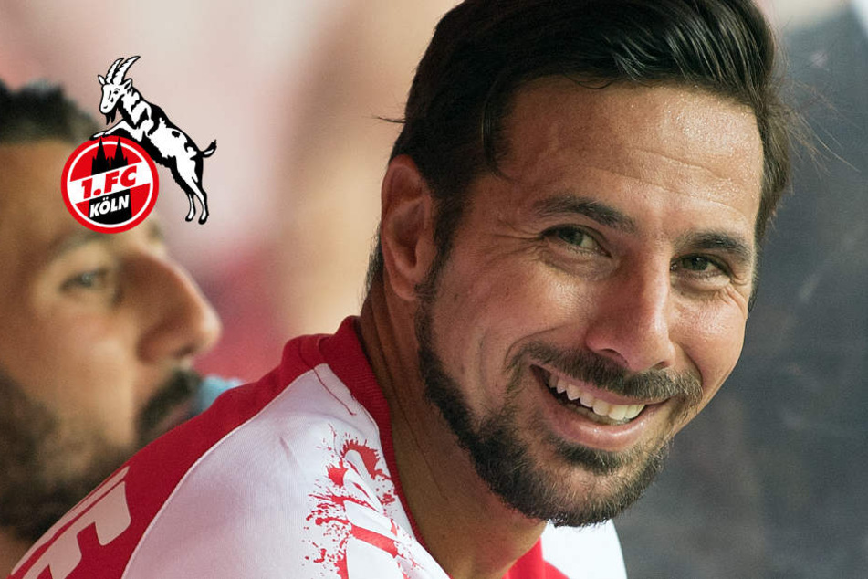 Claudio Pizarro will für den 1. FC Köln gegen seinen Ex-Club Werder Bremen treffen.