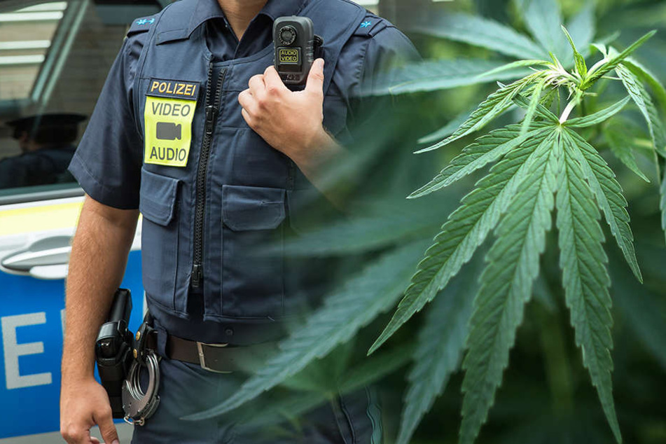 Als sich die Tür öffnete, rochen die Polizisten Cannabis.