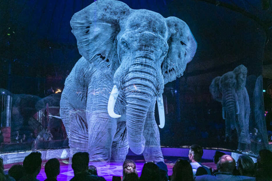 Ein Mega-Elefant steht als Hologramm in der Manege vom Circus Roncalli.