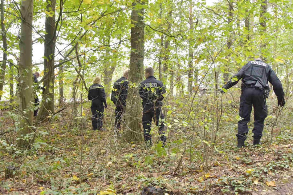 Auch das Gestrüpp zwischen den Bäumen suchen die Polizisten ab.