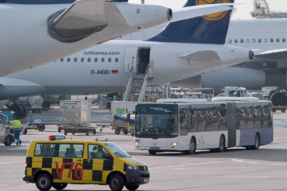 Ein Bus krachte mit einem Schlepper zusammen. (Symbolbild)