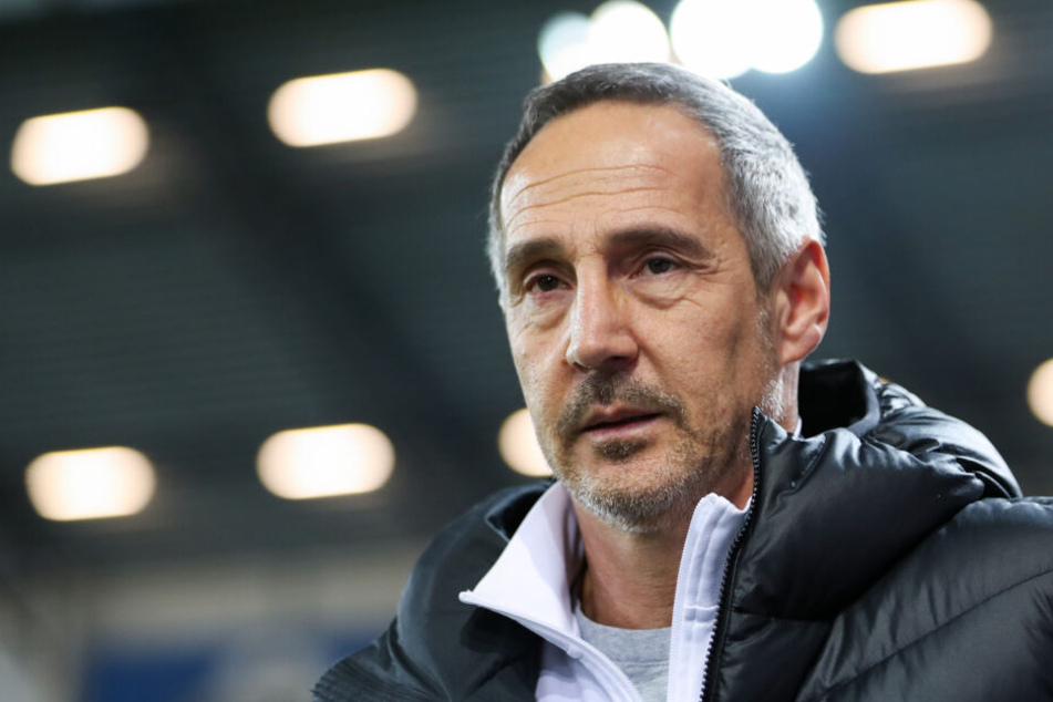 Eintracht Frankfurt-Coach Adi Hütter.