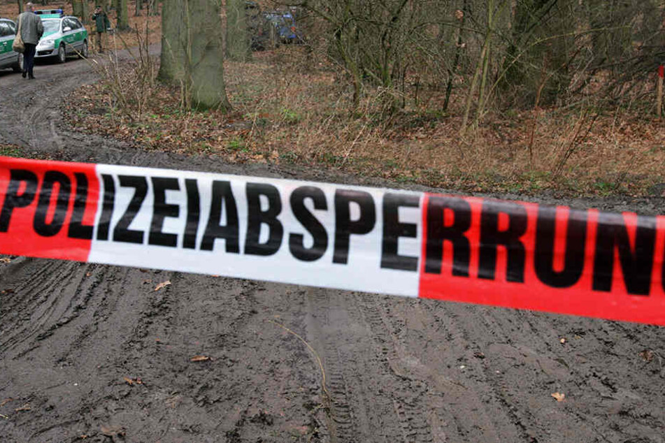 Nach der Geburt hatte die 16-Jährige ihr Baby im Wald vergraben. (Symbolbild)
