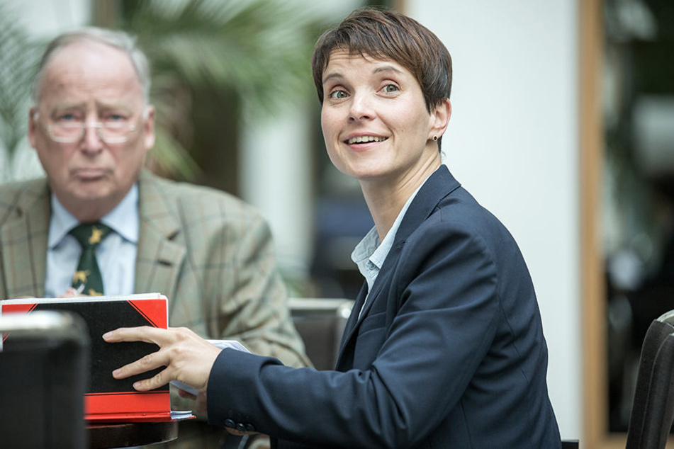 Frauke Petry dürfte sich freuen.