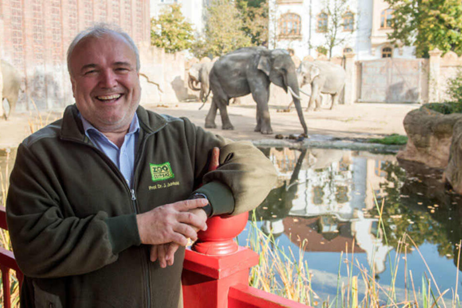 Jörg Junhold (53) gehört
zum Leipziger Zoo wie die
Elefanten. In 20 Jahren
auf dem Chefsessel hat er
vieles bewegt.