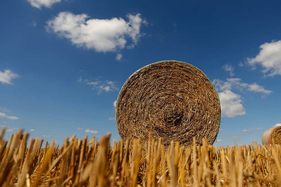 Der 24-jährige wurde unter einem 250 kilo schweren Strohballen begraben, verstarb noch an der Unfallstelle.