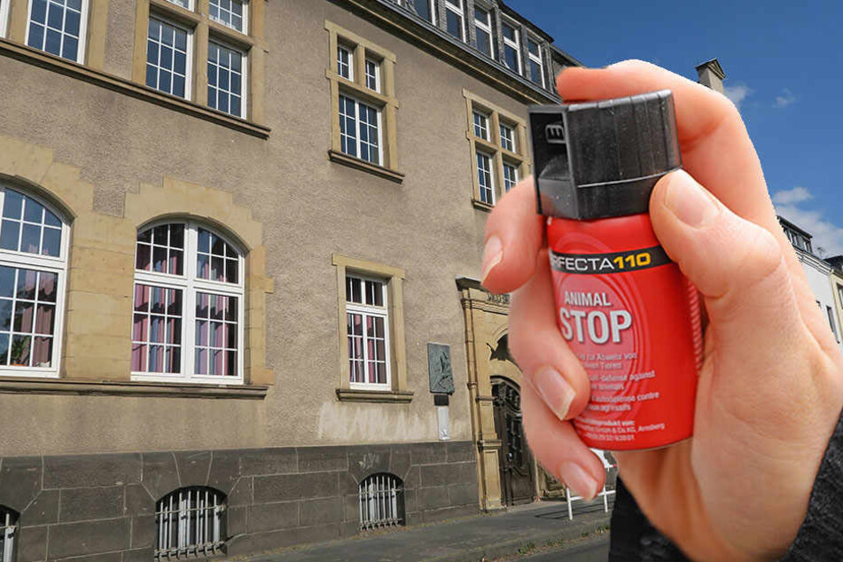 Die Schüler durften nach dem Reizgas-Einsatz nach Hause gehen.