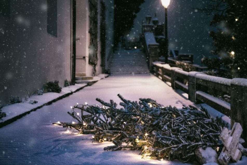 Der hat's hinter sich – doch einfach zur Entsorgung hinaus werfen wie in einer berühmten Möbelhaus-Werbung, sollte man den Weihnachtsbaum besser nicht.