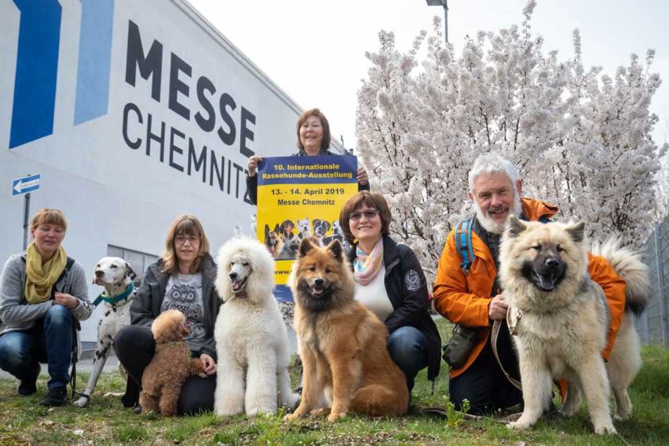 Rasse hat Klasse, aber auch der schönste Mischlingshund aus Chemnitz wird gesucht.