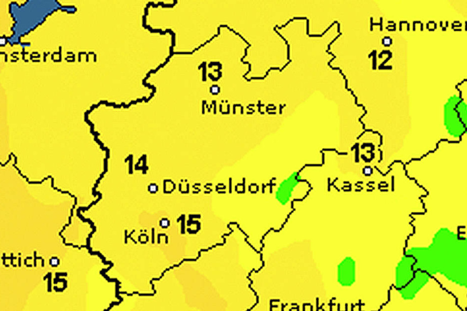 Das Gelb sieht zwar schön strahlend aus, zeigt aber leider, dass es ziemlich frisch wird!