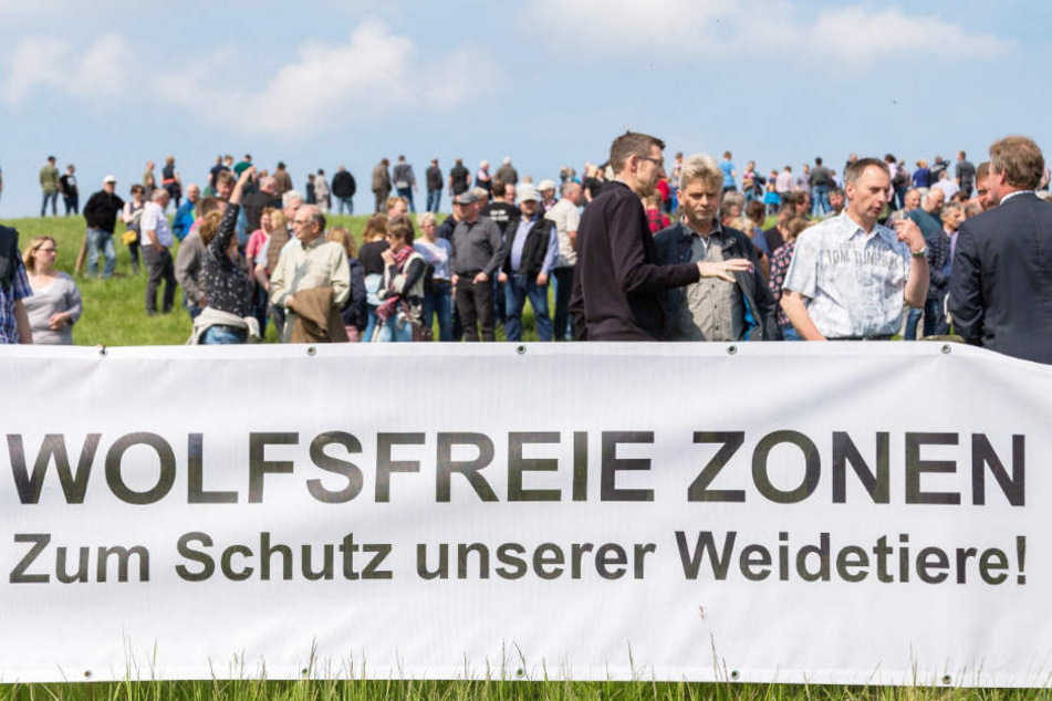 Die Tierhalter fordern wolfsfreie Zonen.