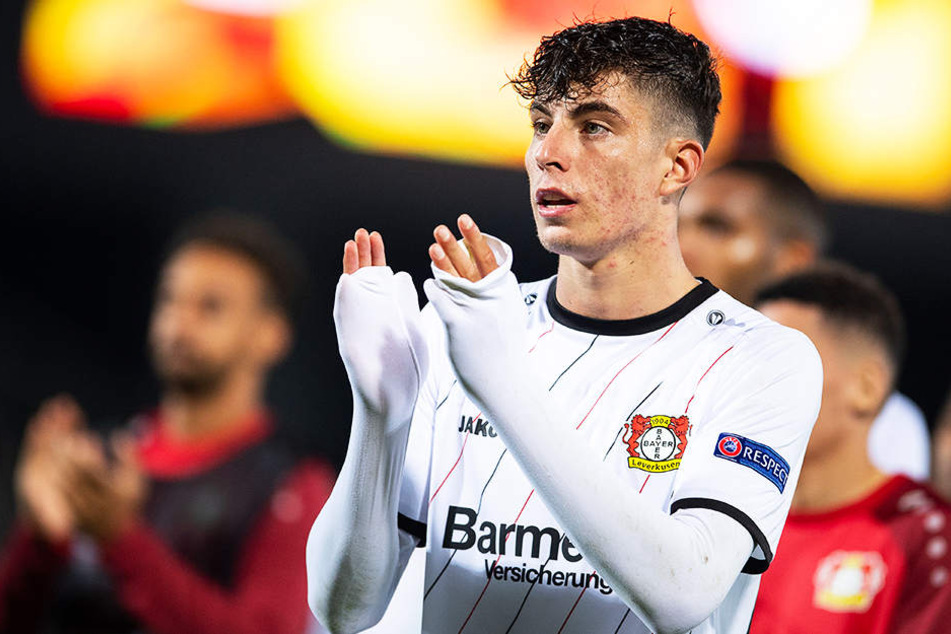 Vereinstrainer Heiko Herrlich würde Kai Havertz gerne mal eine Pause gönnen, doch der Youngster ist dafür viel zu wichtig.