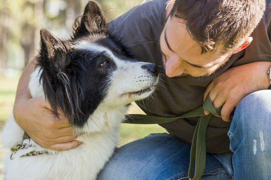 Wer seinen Hund nicht rechtzeitig meldet, könnte mit einem Bußgeld belegt werden.