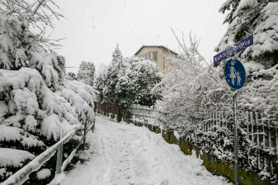 Vor einem Jahr lag in Dresden bei Temperaturen um 0 Grad ordentlich Schnee.