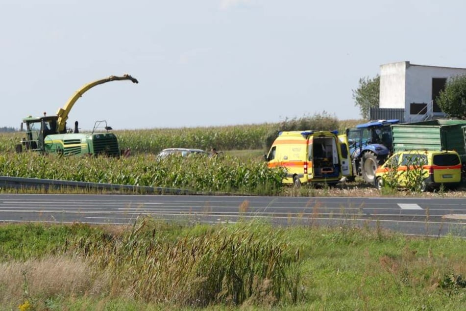Arbeiter waren auf dem Maisfeld mit Häckselarbeiten beschäftigt.