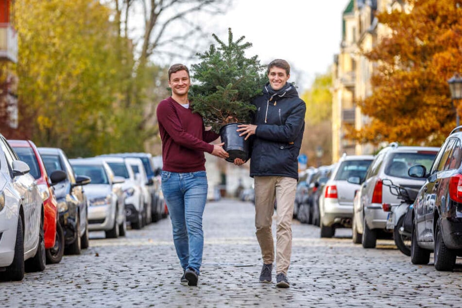 Mieten Sie doch mal 'nen Weihnachtsbaum! Gründer Moritz Kormann (25, r.) liefert sogar selbst aus, Patrick Schroll (26) und andere Freunde helfen dabei.