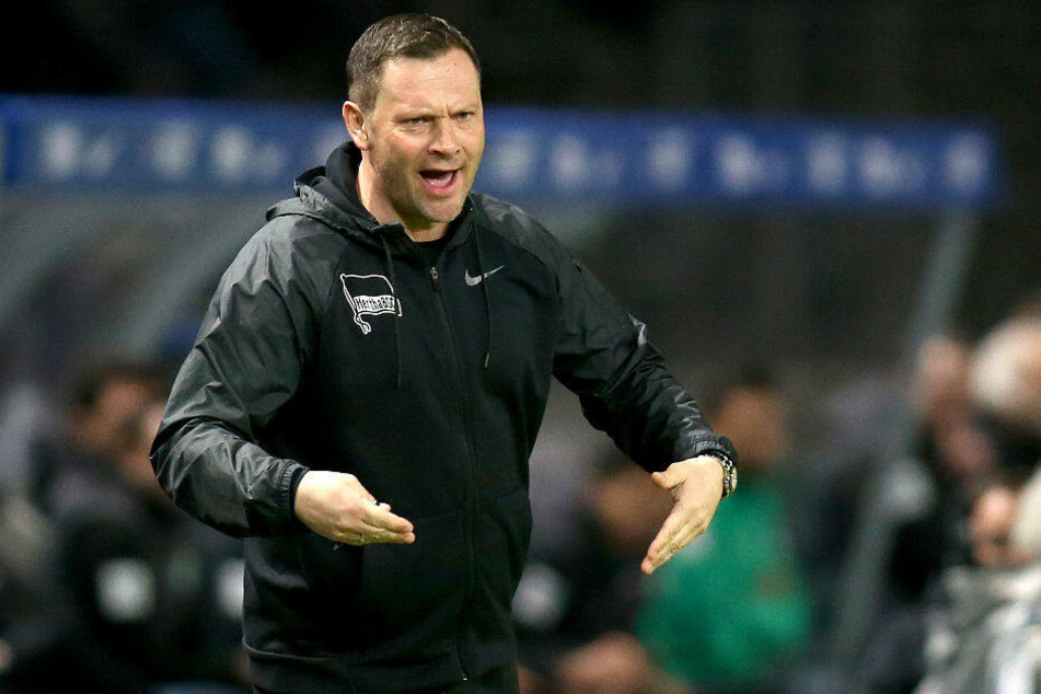 Pal Dardai kämpft mit Hertha in Freiburg gegen eine schwarze Serie.