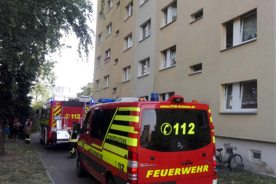 Zum zweiten Mal in diesem Monat hatte die Mieterin der Erdgeschosswohnung das Essen auf dem Herd vergessen.