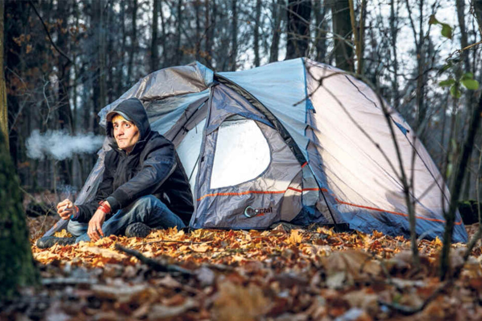 Nachts beim Zelten in der Dresdner Heide träumt Flo von einer richtigen Wohnung. Nur manchmal stören ihn die Wildschweine dabei.