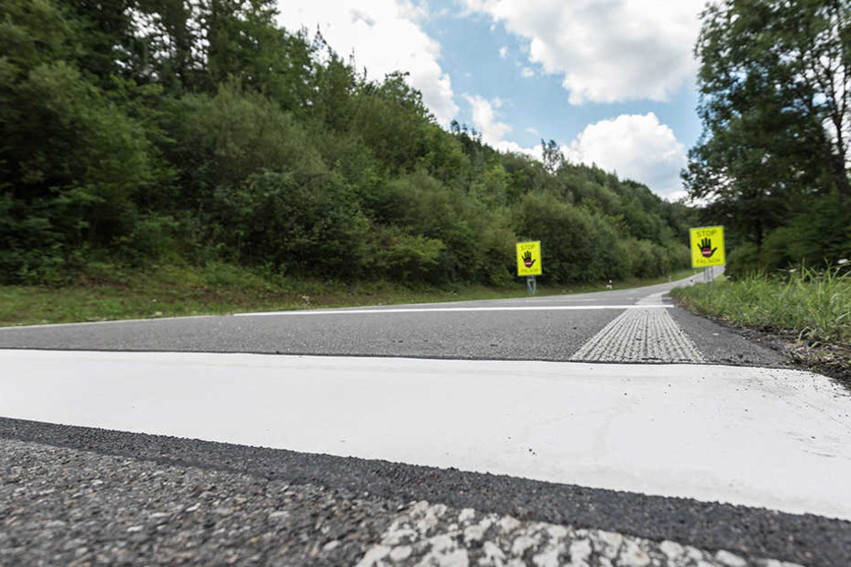 Wer über diese weiße Markierung fährt, wird durch Holpern und akustische Signale gewarnt.